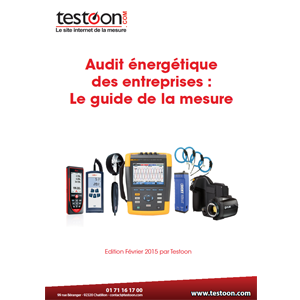 Audit en entreprise